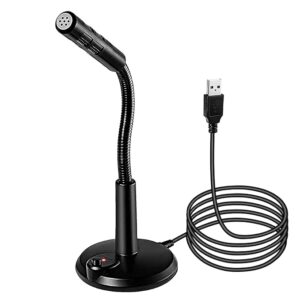 Microphone