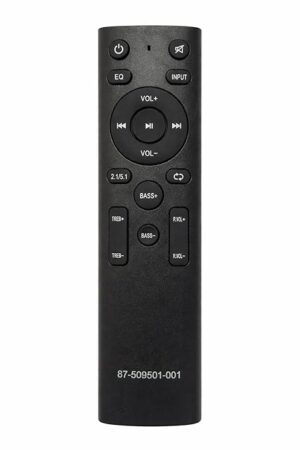 Pana-Sonic Remote